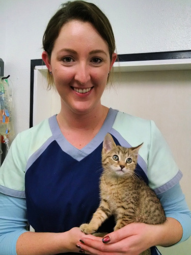 About Us - Bothell Pet Hospital - Providing Exceptional Veterinary Care for  Over 60 Years