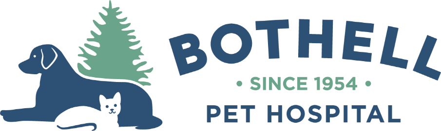 Bothell Pet Hospital