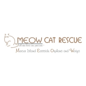MEOW Cat Rescue