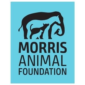 Morris Animal Foundation