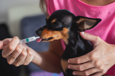 Online Pharmacy of Bothell Pet Hospital