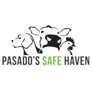 Pasado's Safe Haven