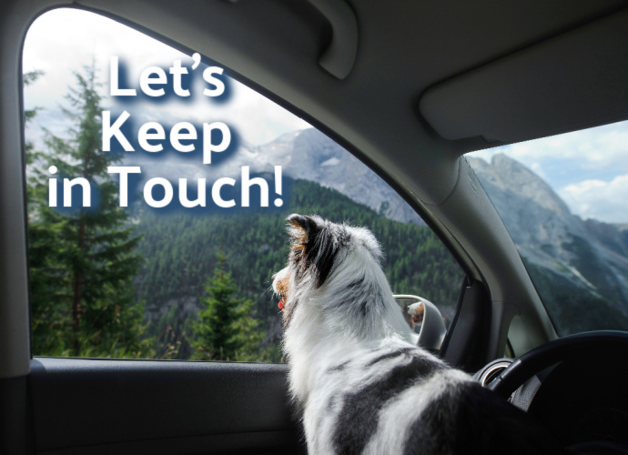 Subscribe to Bothell Pet Hospital's Newsletter