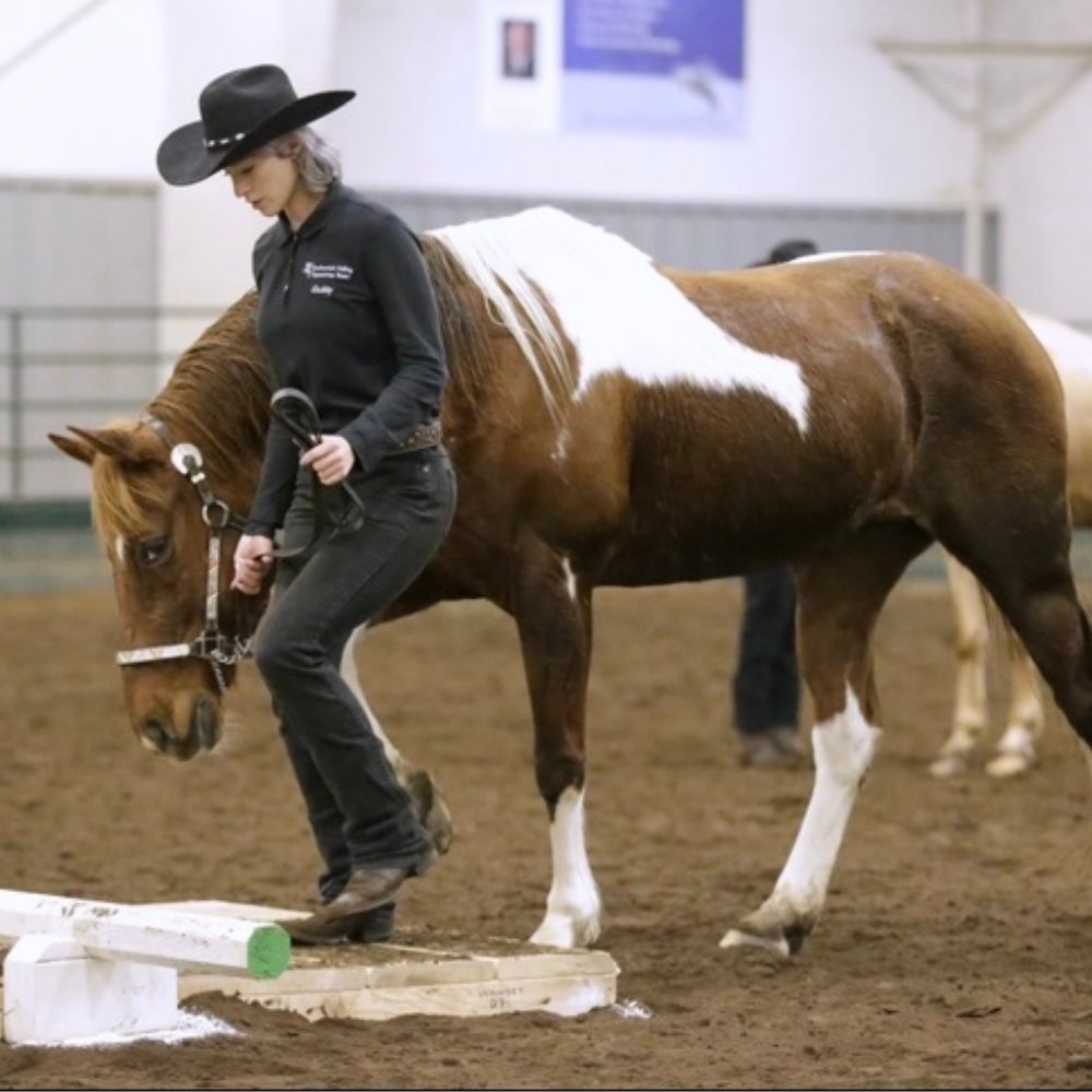 Gabby, Licensed Veterinary Technician at Bothell Pet Hospital