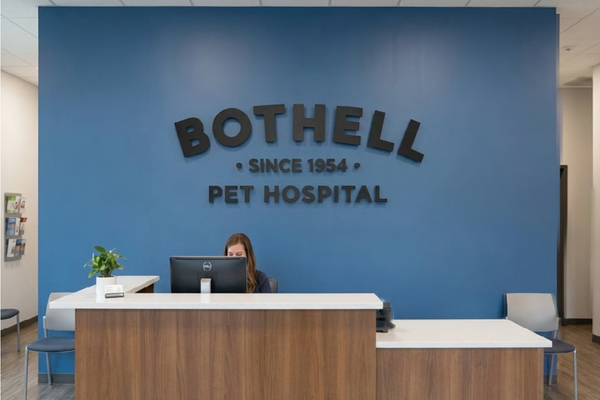 A vet office front desk in front of a blue wall with a black sign for Bothell Pet Hospital