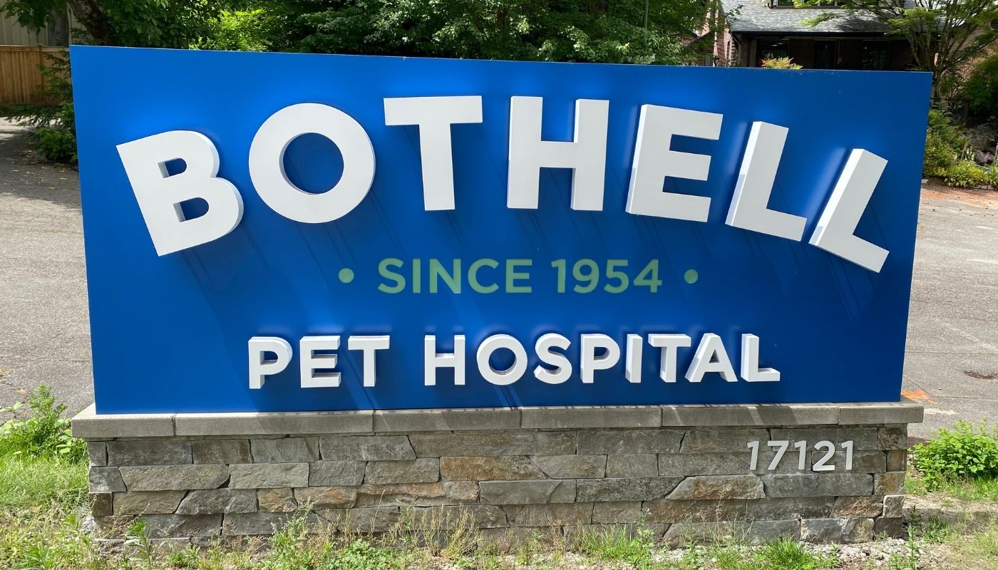 The big blue sign outside of the new location of Bothell Pet Hospital at 17121 Bothell Way