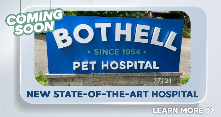 Bothell Pet Hospital is moving to a new, state-of-the-art facility in 2026!