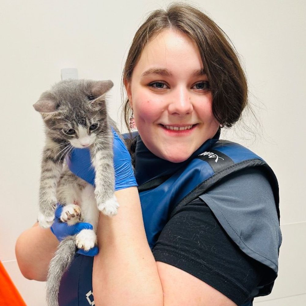 Corra, Veterinary Assistant at Bothell Pet Hospital