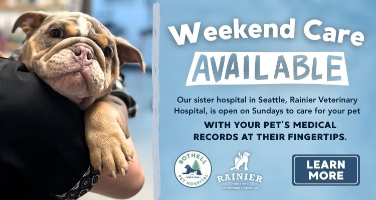 Weekend Care Available at our sister hospital, Rainier Vet, in Seattle with instant access to your pet's medical records.
